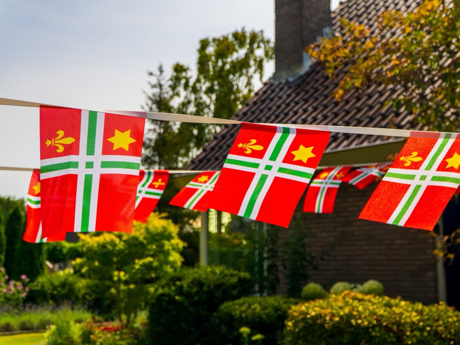 Dorpsvlag-vlaggenlijn met de Franse lelie en de ster voor een huis in Buitenpost